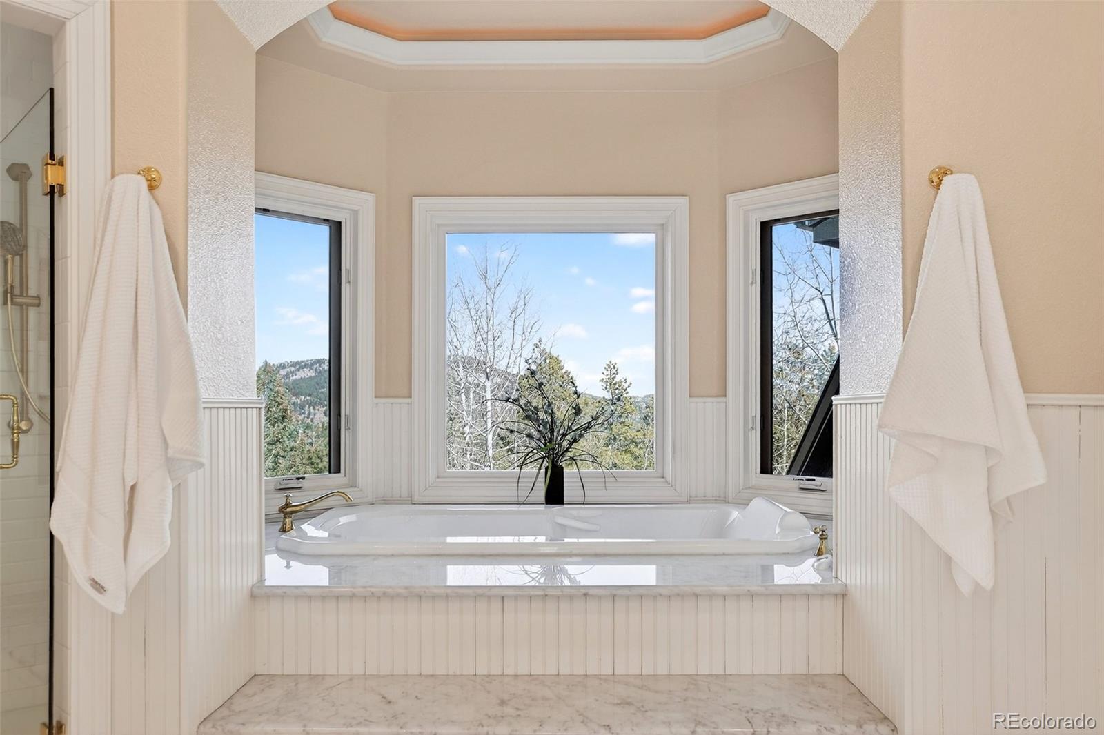 11406 Conifer Ridge Drive