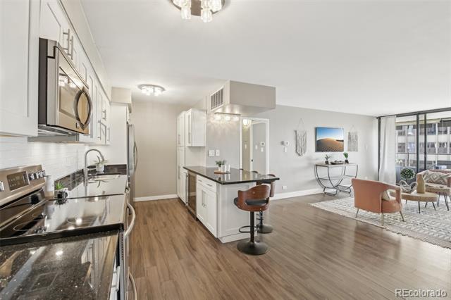 790 N Washington Street Unit: 1006