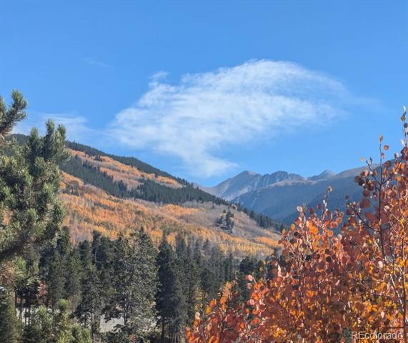 22340 US Highway 6 Unit: 1814