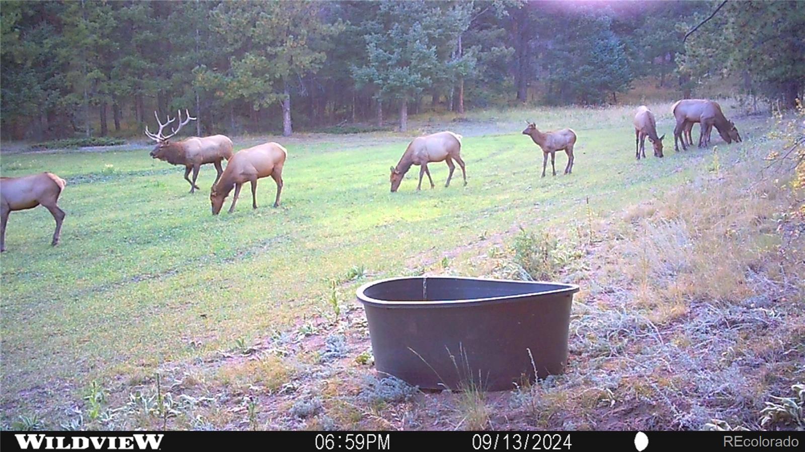 26269 Richmond Hill Road