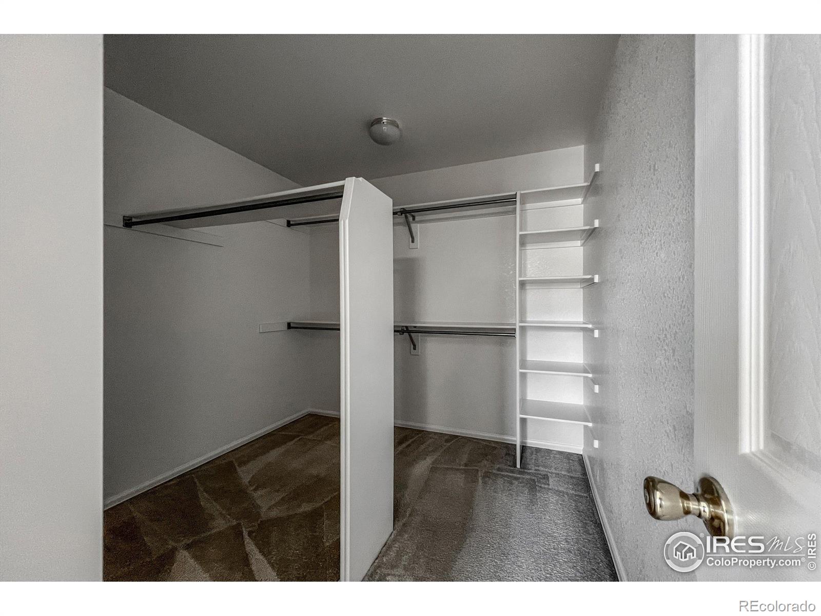 355 Sprucewood Court