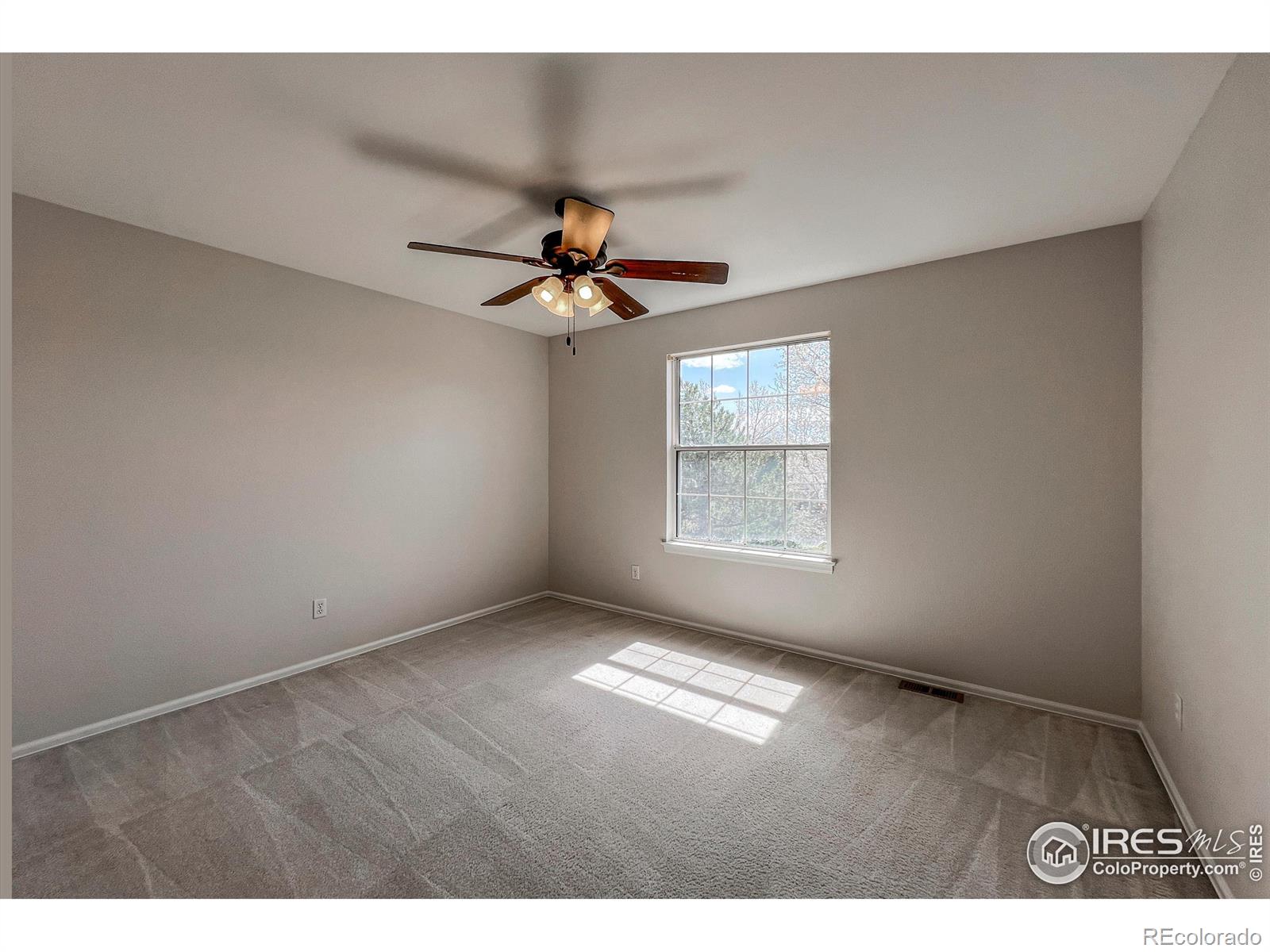 355 Sprucewood Court