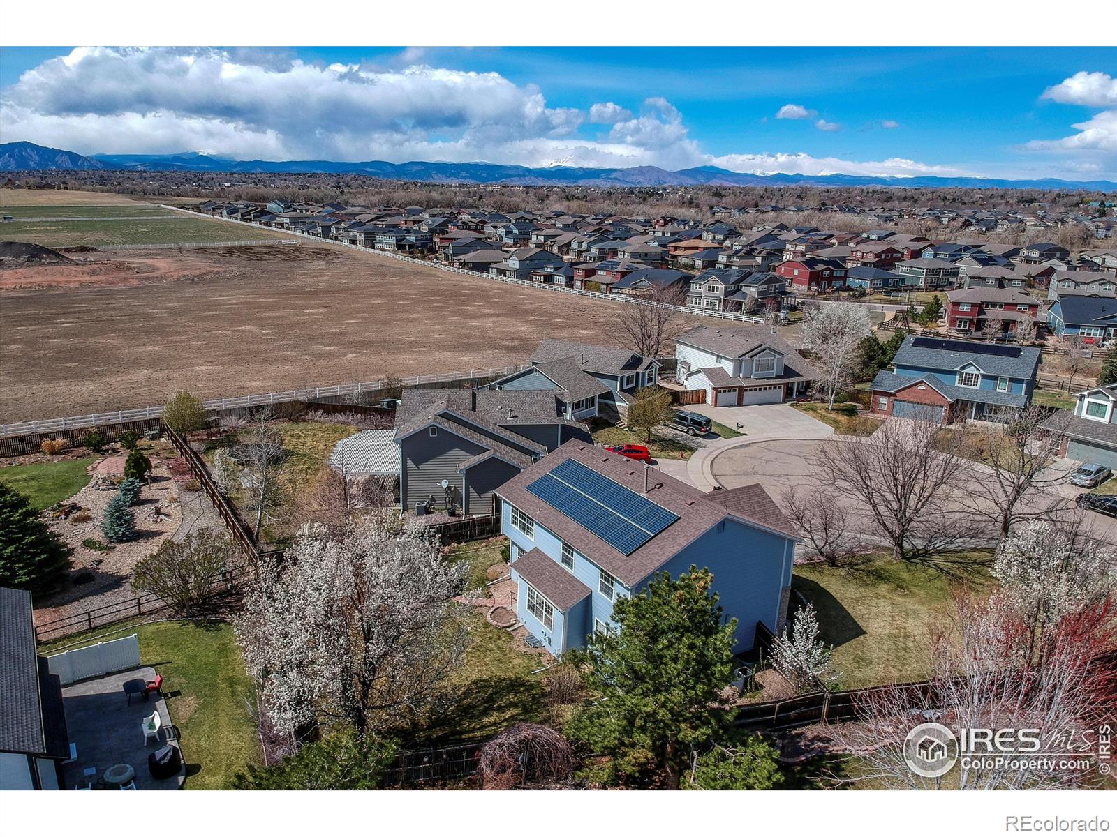 355 Sprucewood Court