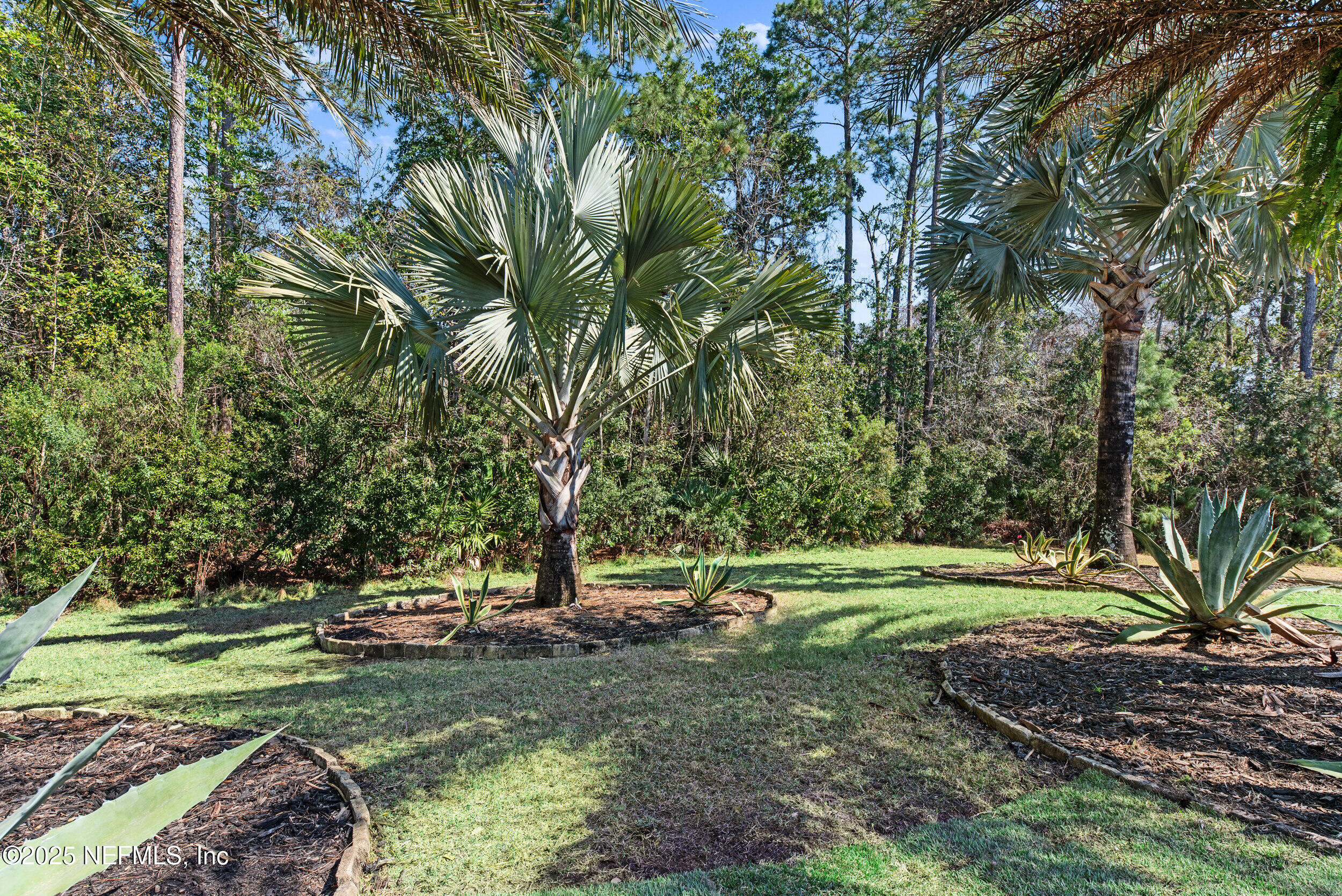 66 CYPRESS GROVE Trail