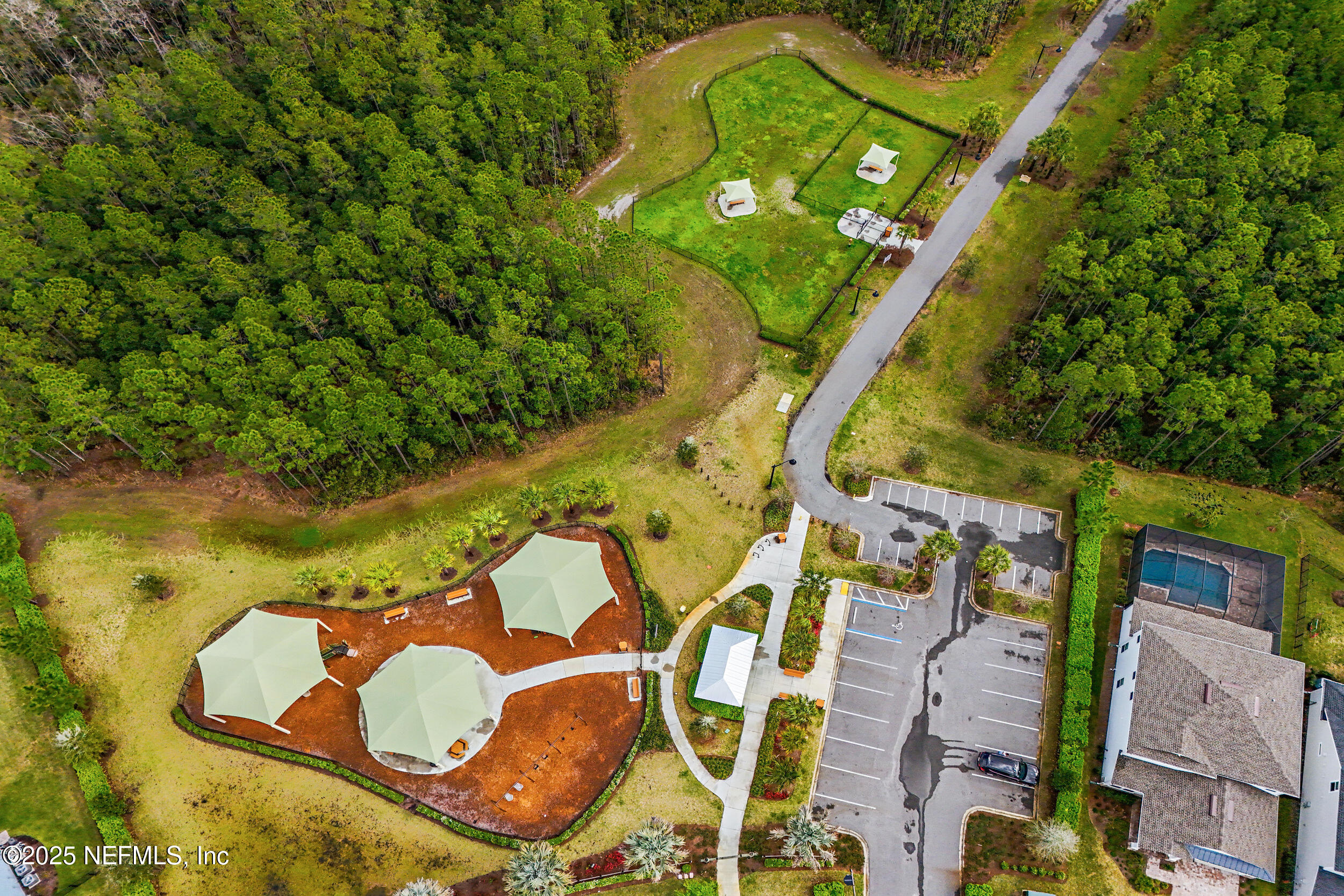 139 RAINBOW TROUT Lane