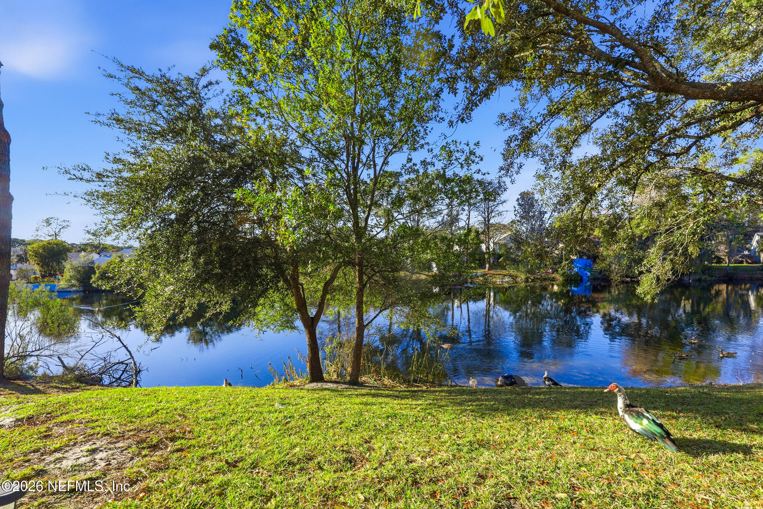 8715 BELLE RIVE Boulevard 1607