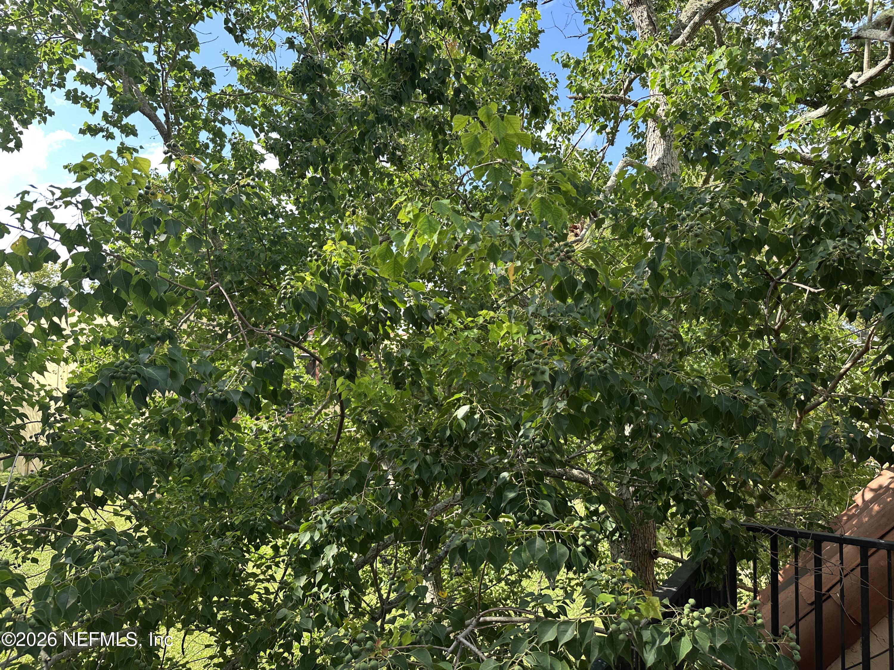 3878 LA MIRADA Drive N 8