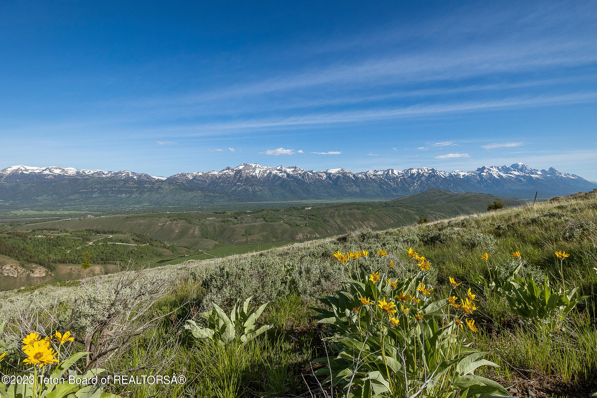 975 W SADDLE BUTTE Drive