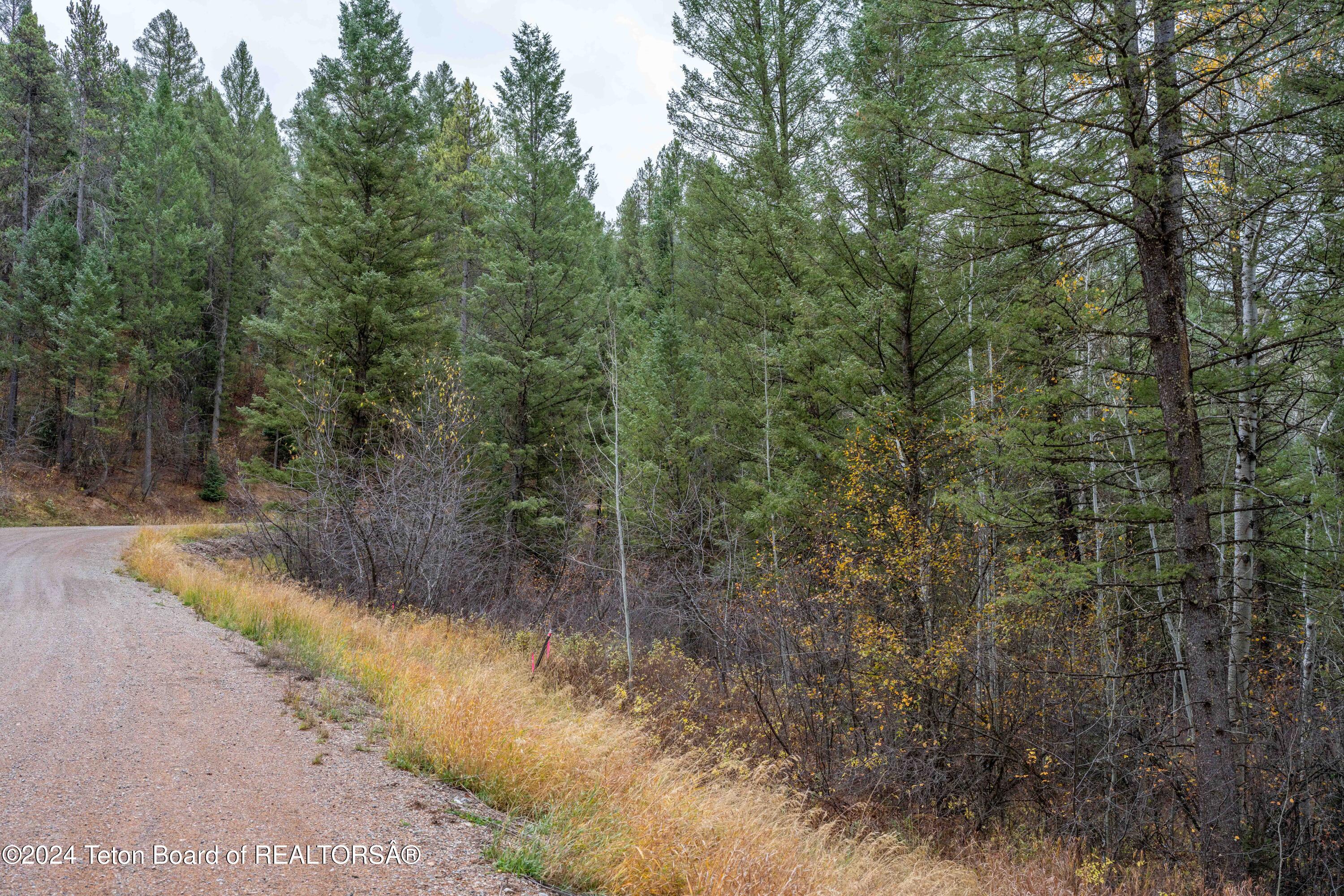 LOT 24 TRAIL RIDGE Road