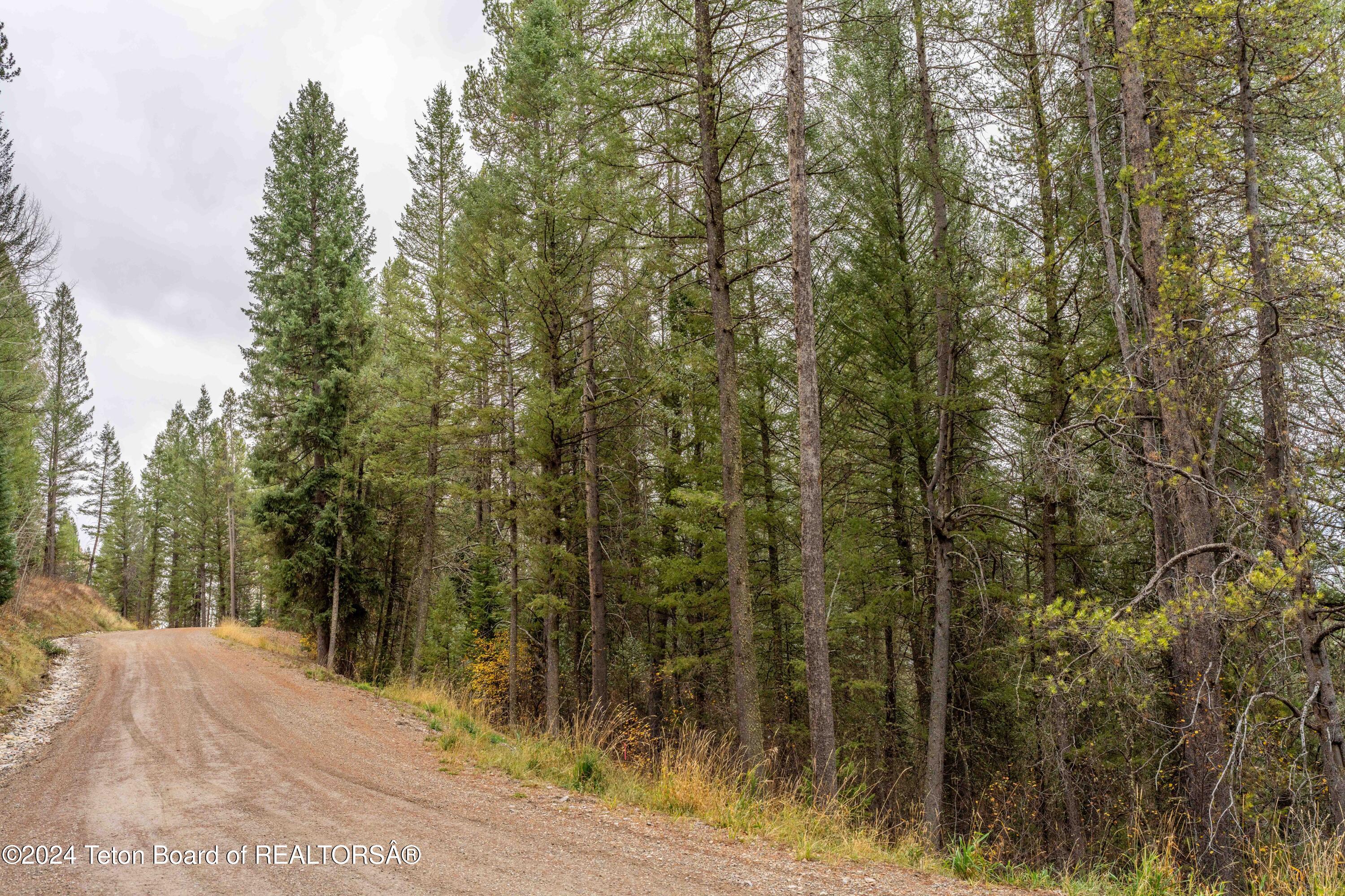LOT 24 TRAIL RIDGE Road