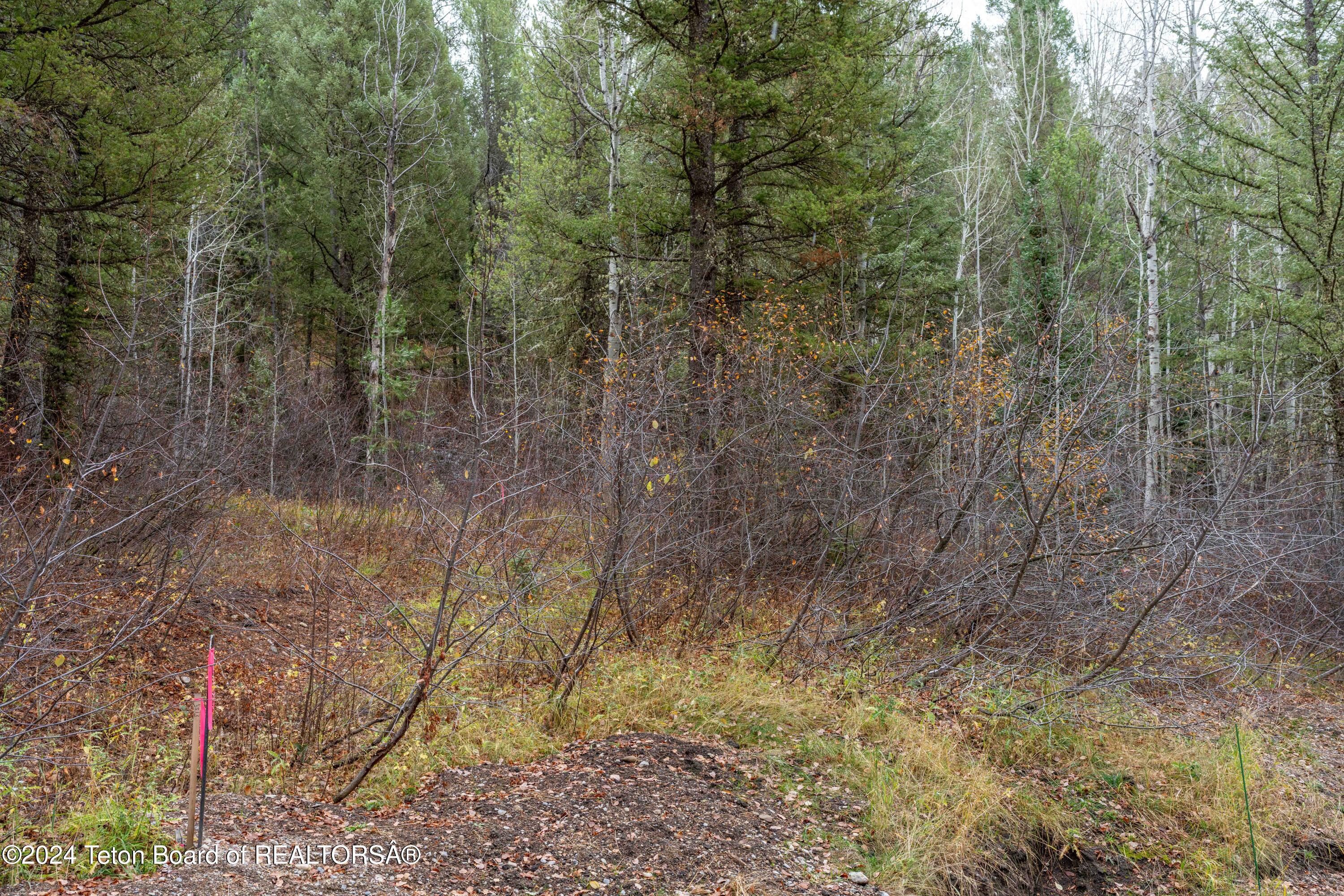 LOT 24 TRAIL RIDGE Road