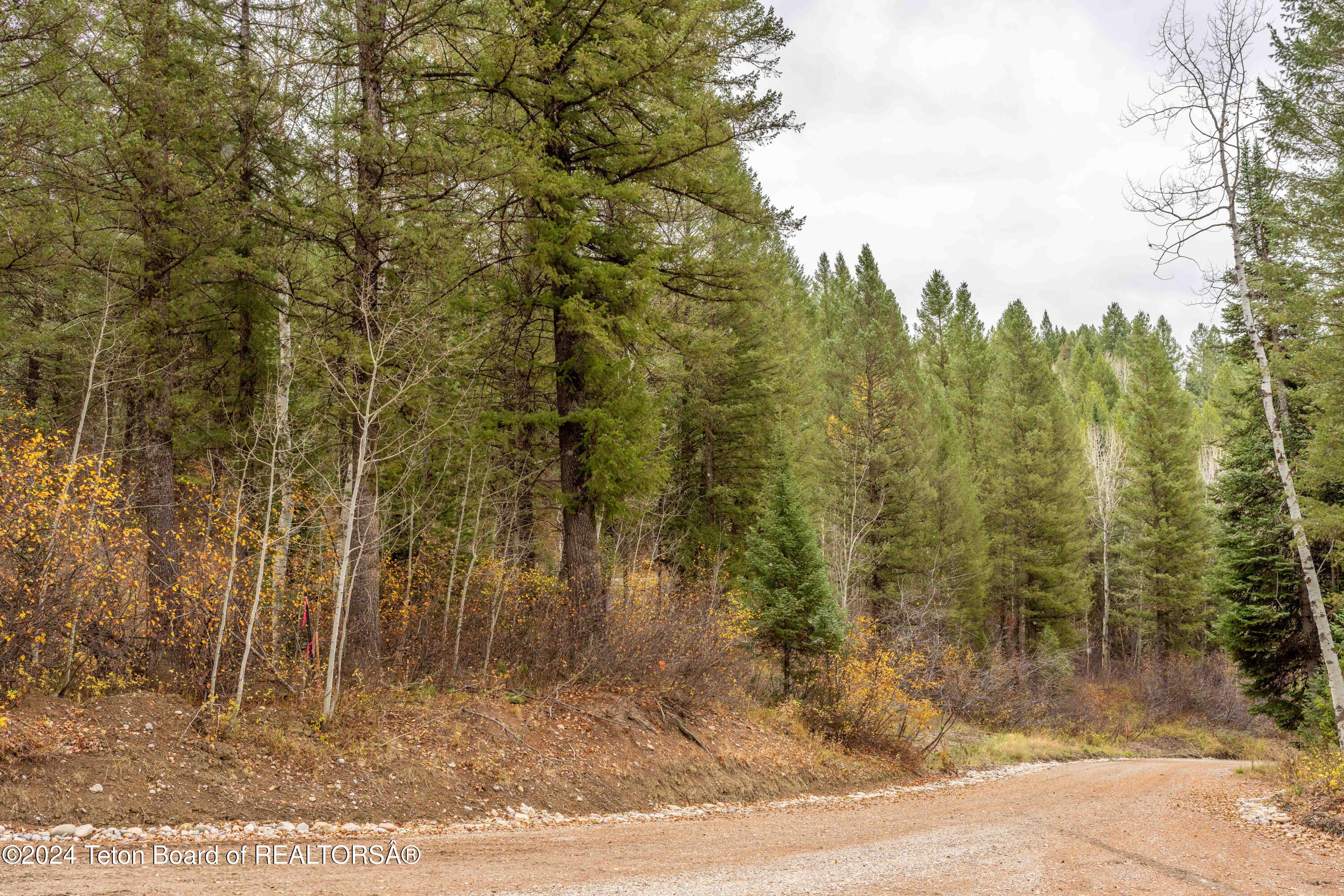LOT 24 TRAIL RIDGE Road