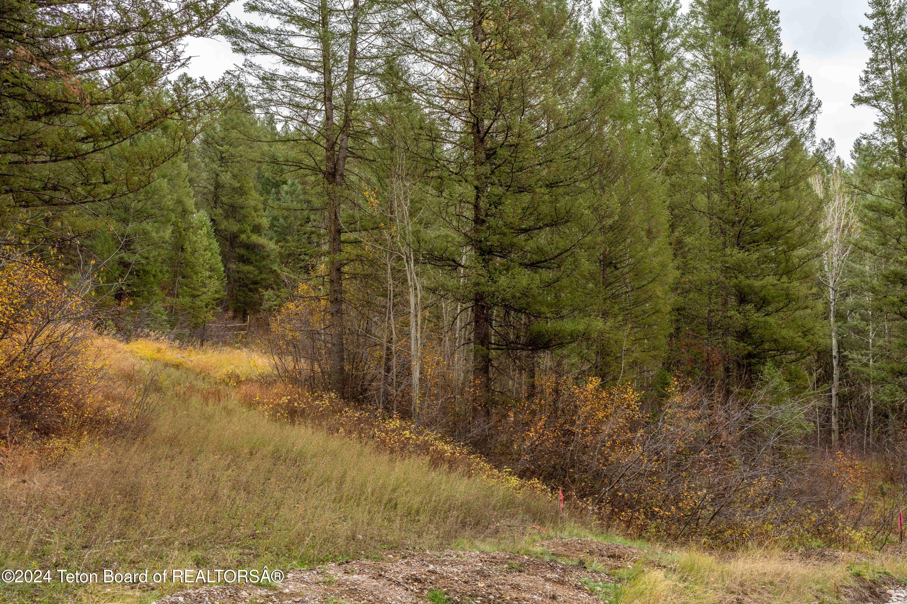 LOT 24 TRAIL RIDGE Road