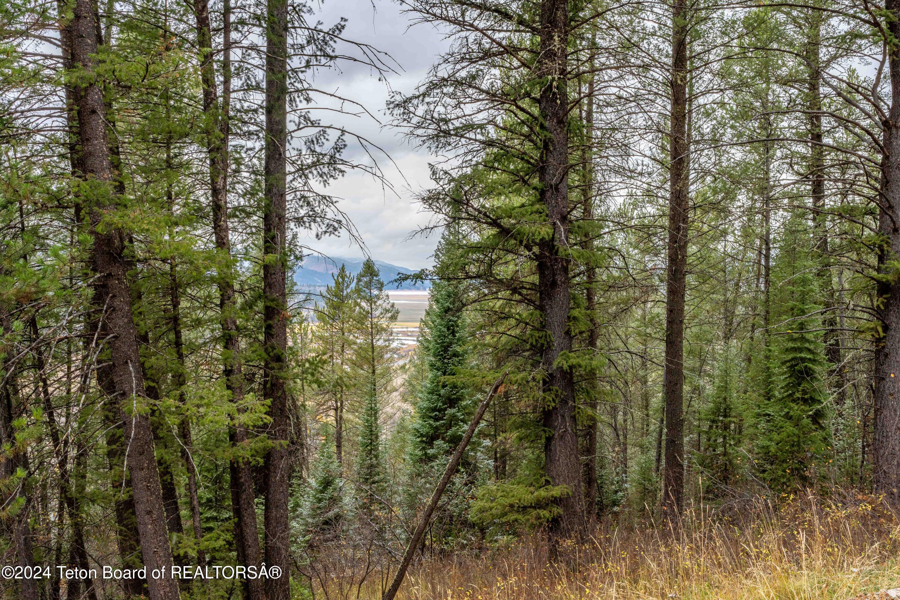 LOT 24 TRAIL RIDGE Road
