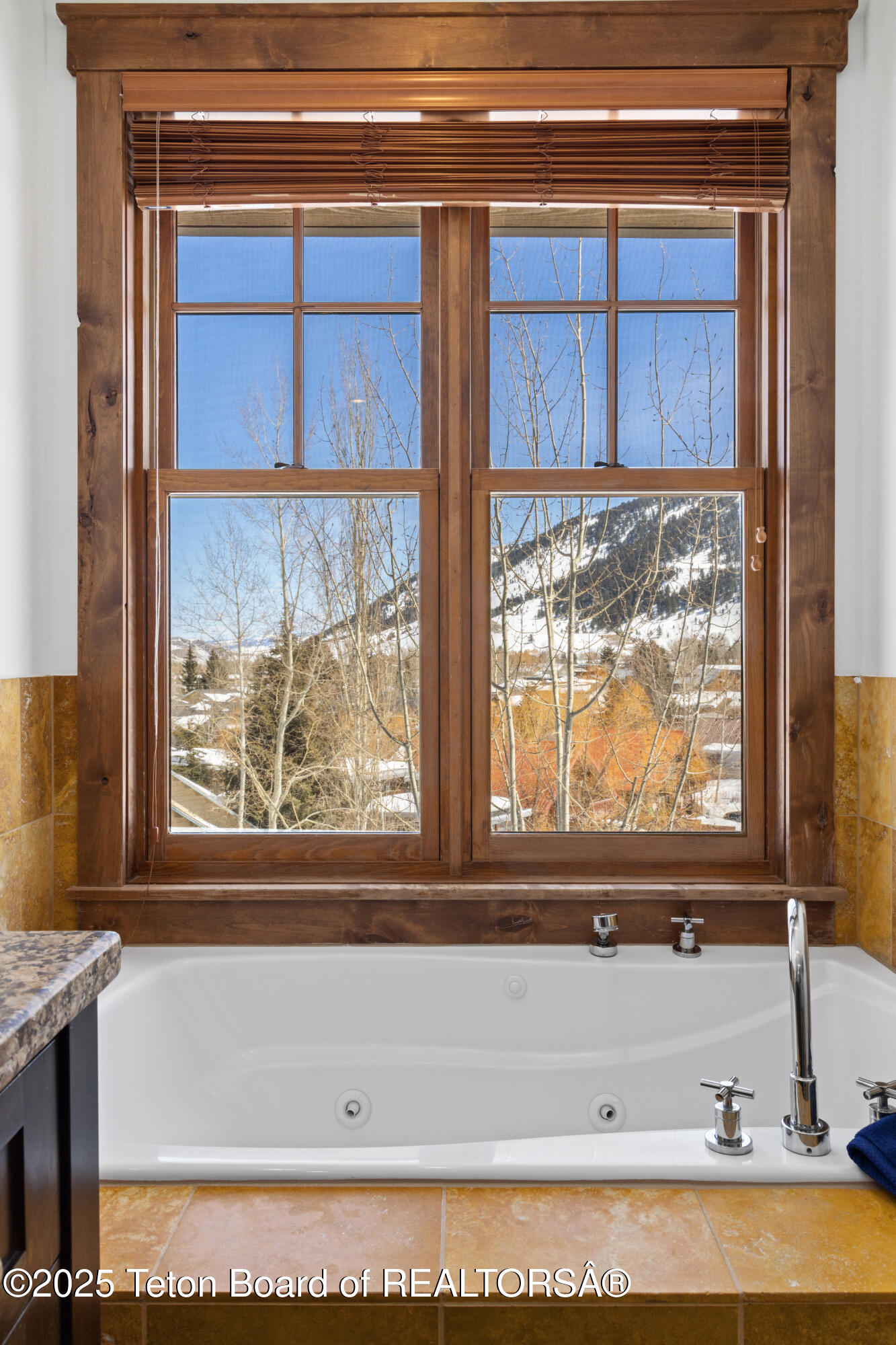 524 LOWER SNOW KING LOOP 241