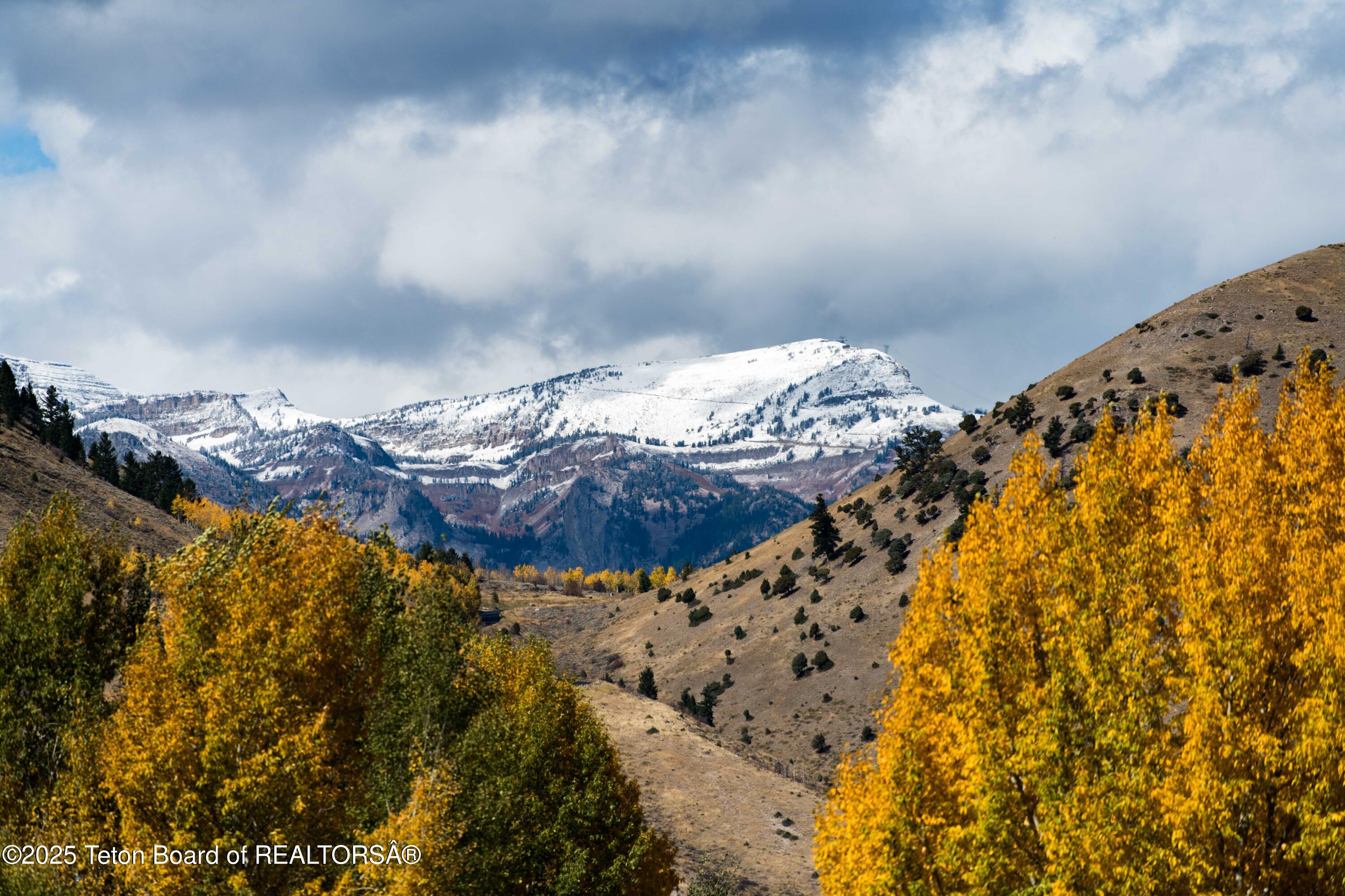 524 LOWER SNOW KING LOOP 241