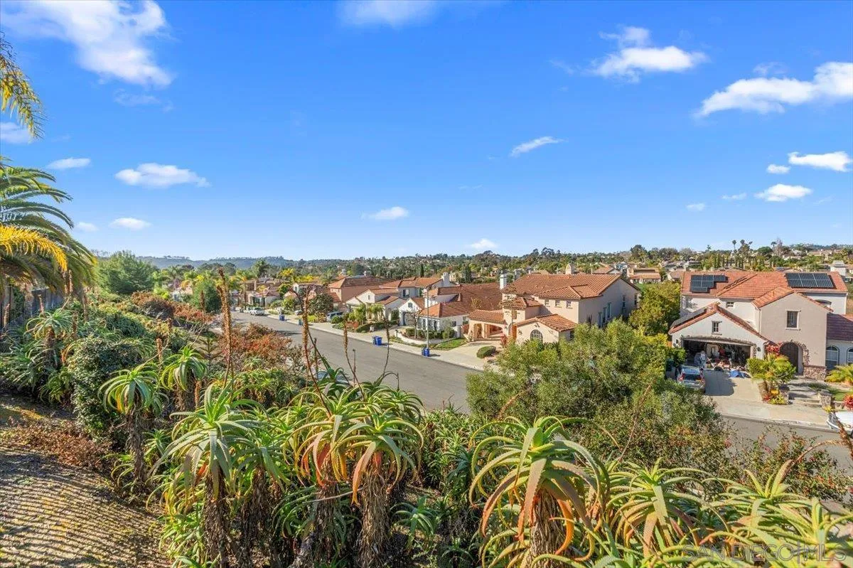 3224 Avenida La Cima