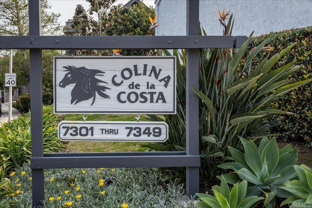 7307 Alicante Road C