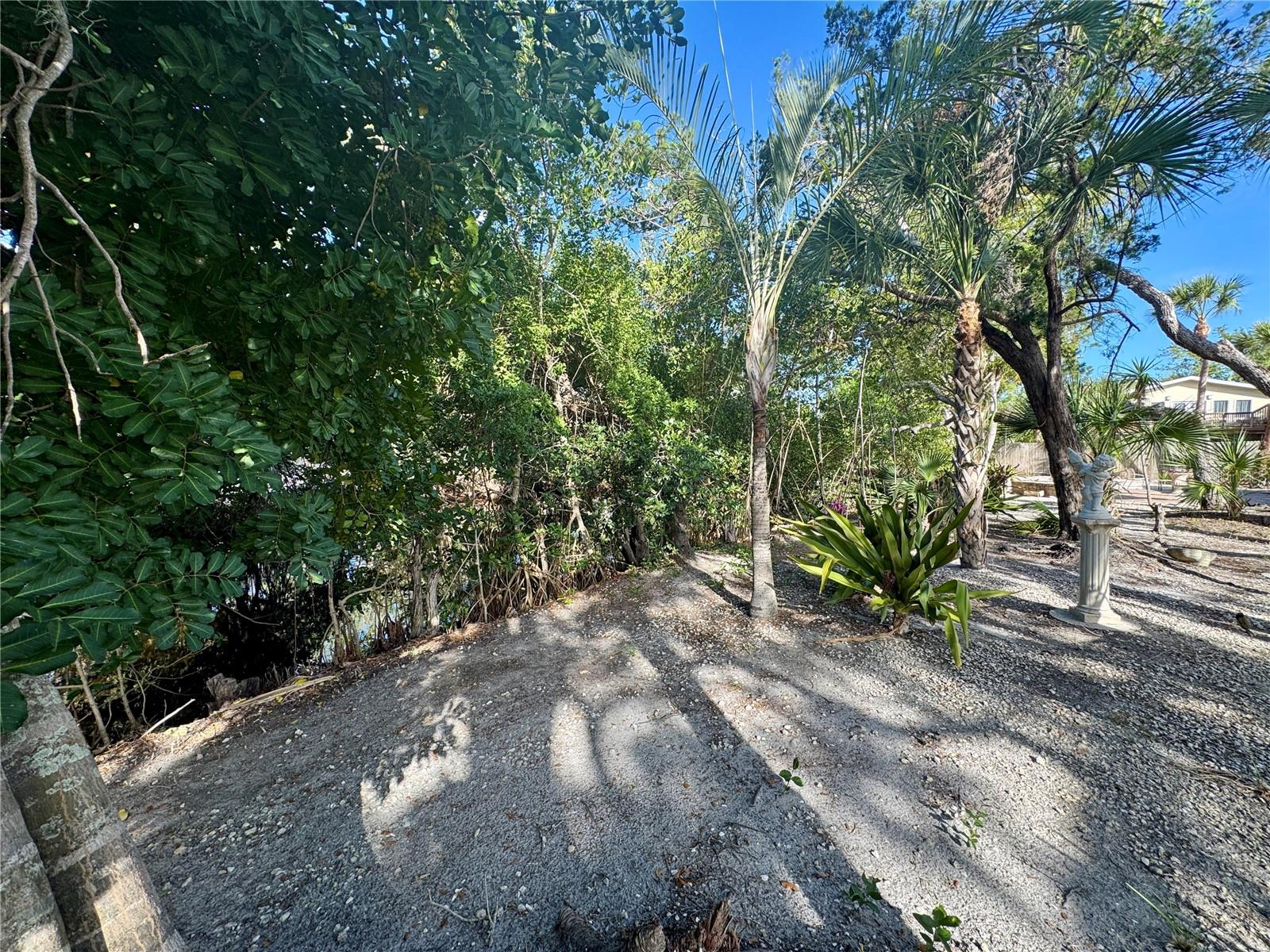 7372 MELALEUCA WAY