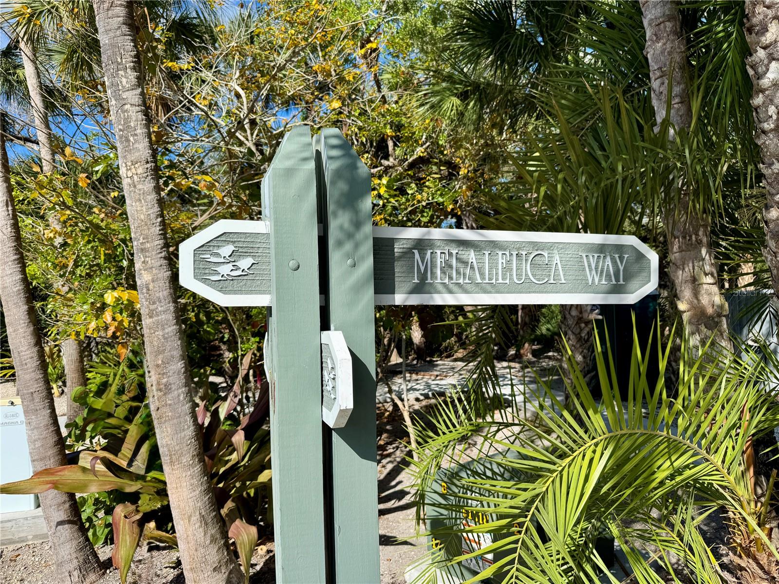 7372 MELALEUCA WAY
