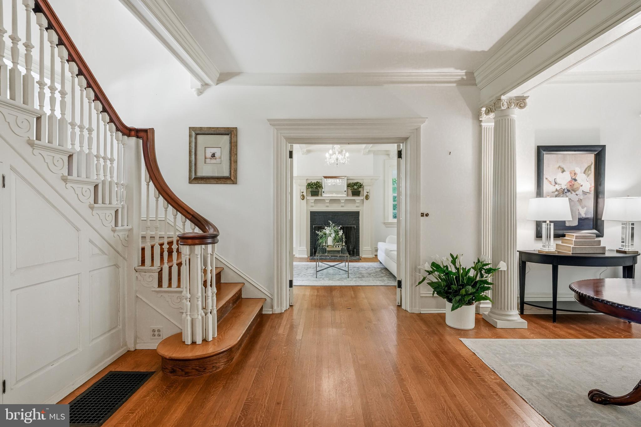 443 SAINT DAVIDS AVENUE