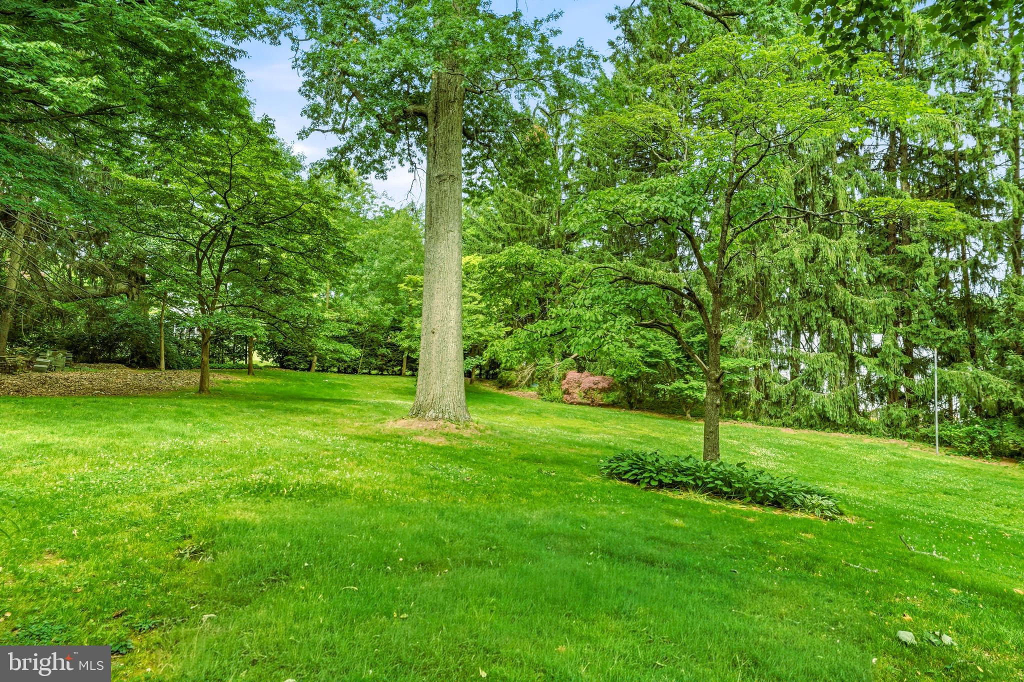 443 SAINT DAVIDS AVENUE