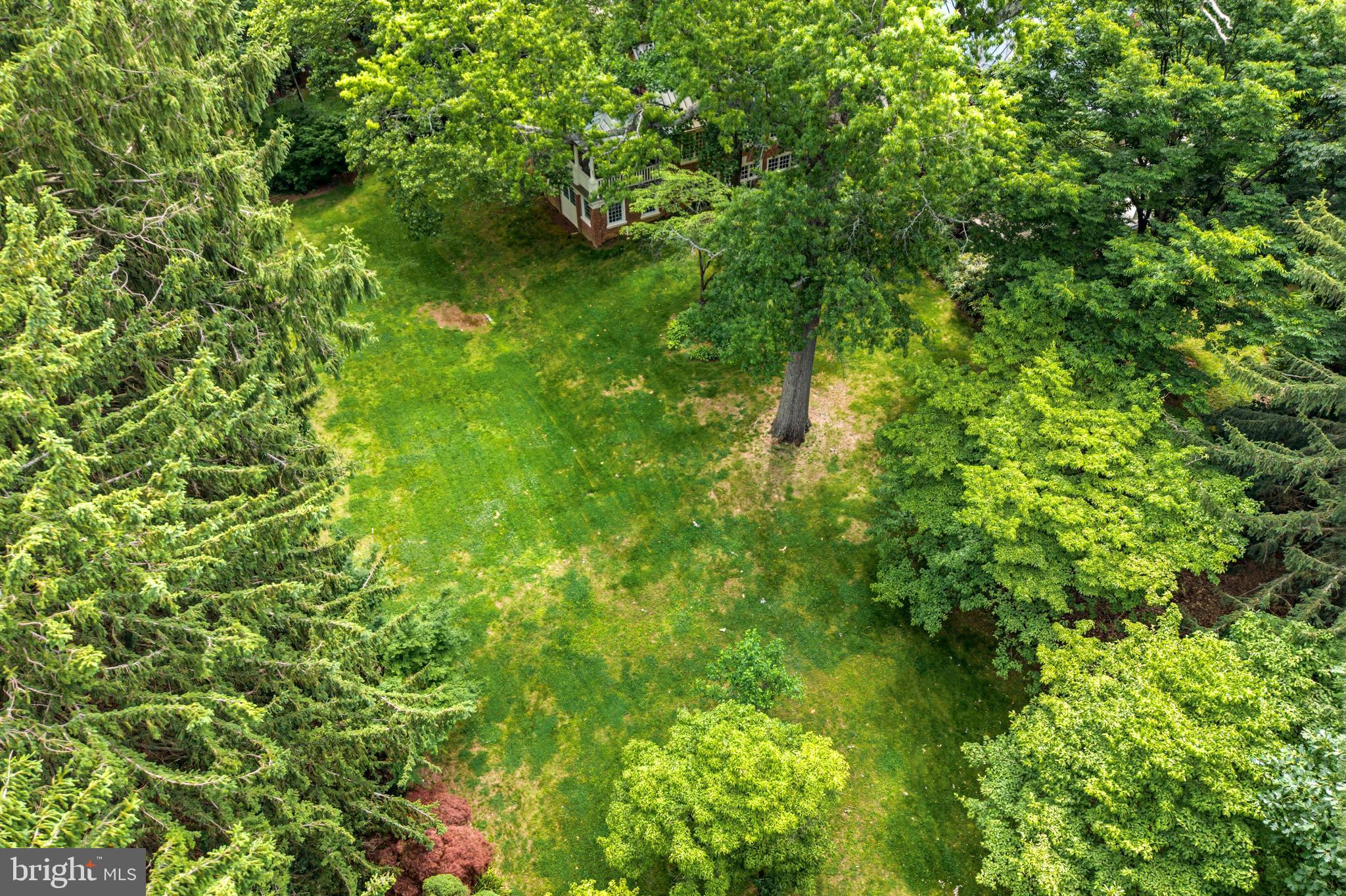443 SAINT DAVIDS AVENUE