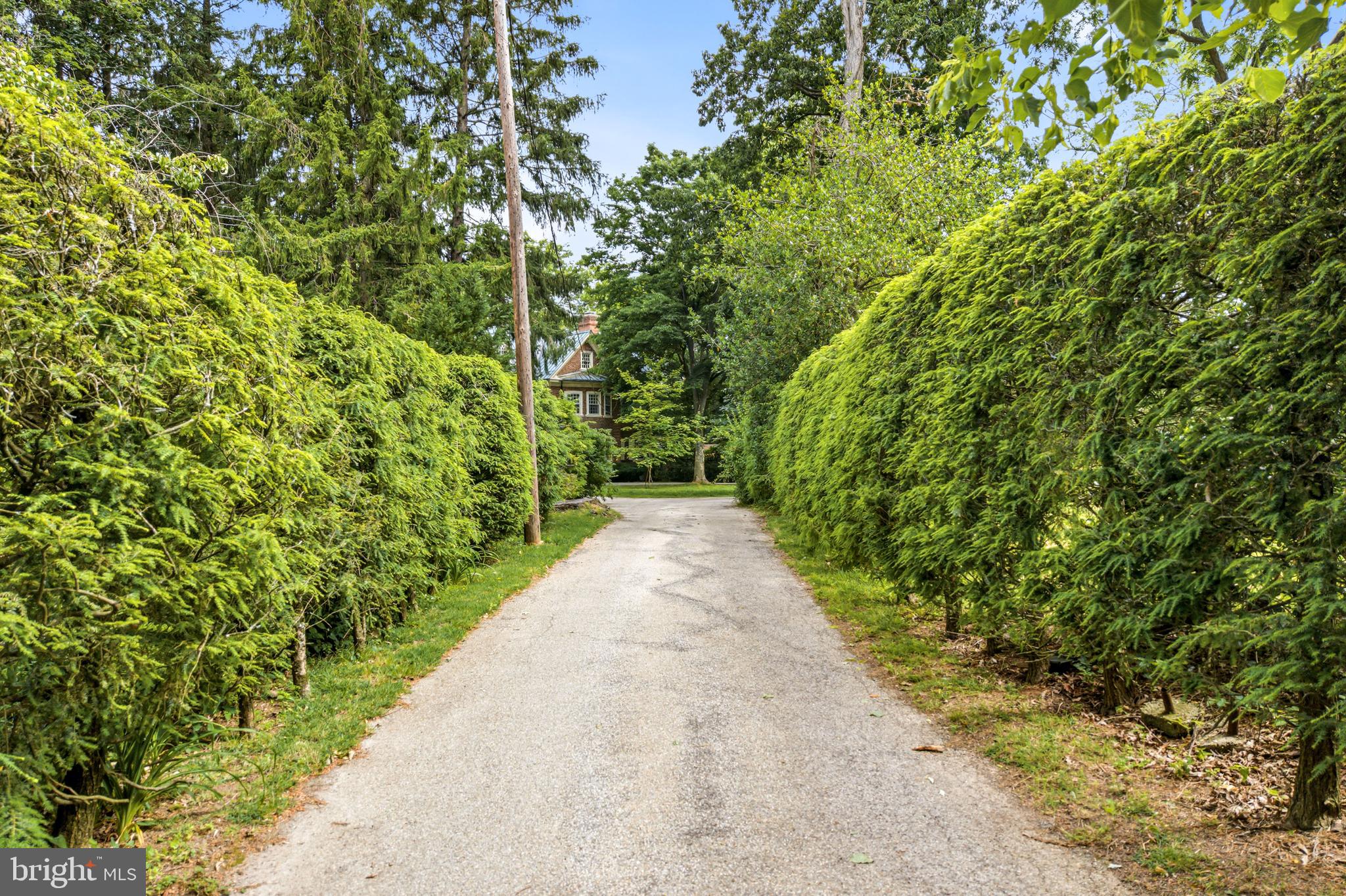 443 SAINT DAVIDS AVENUE