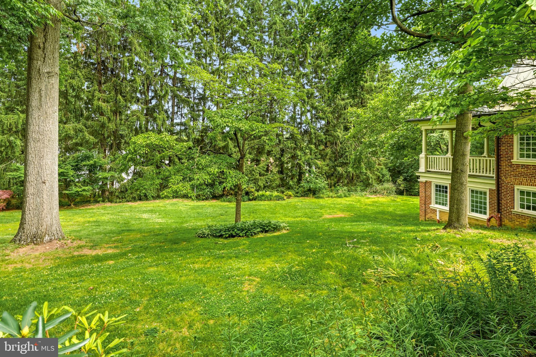 443 SAINT DAVIDS AVENUE