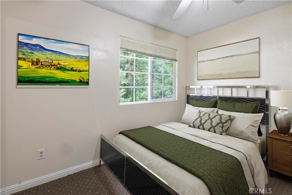 26204 Boulder