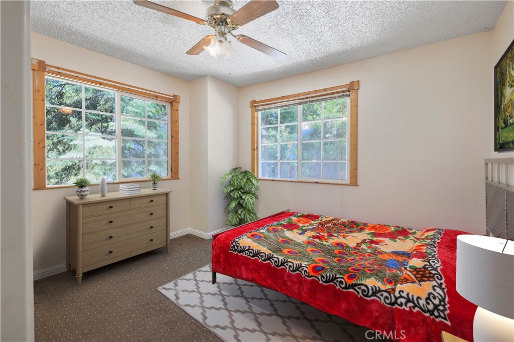 26204 Boulder
