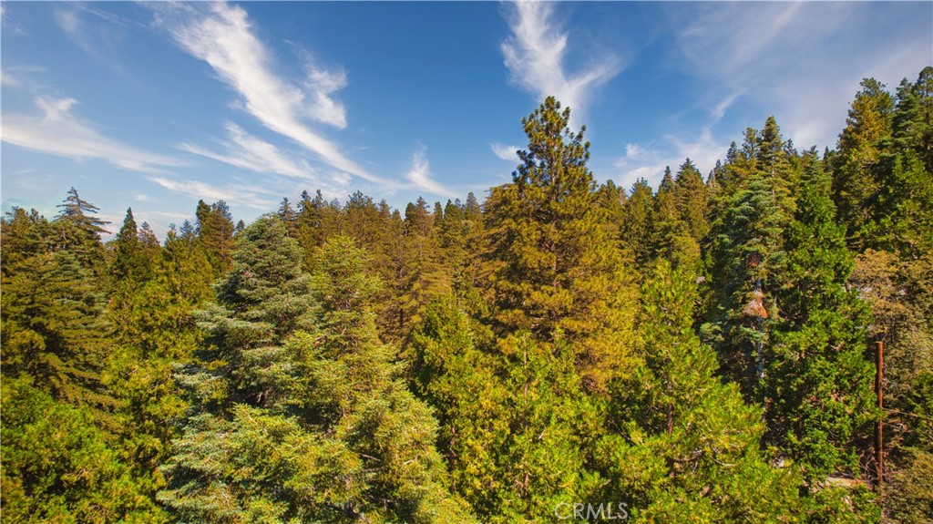 26204 Boulder