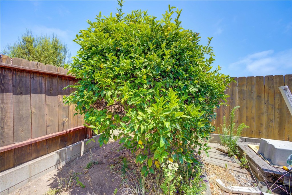 271 South Alpine Street