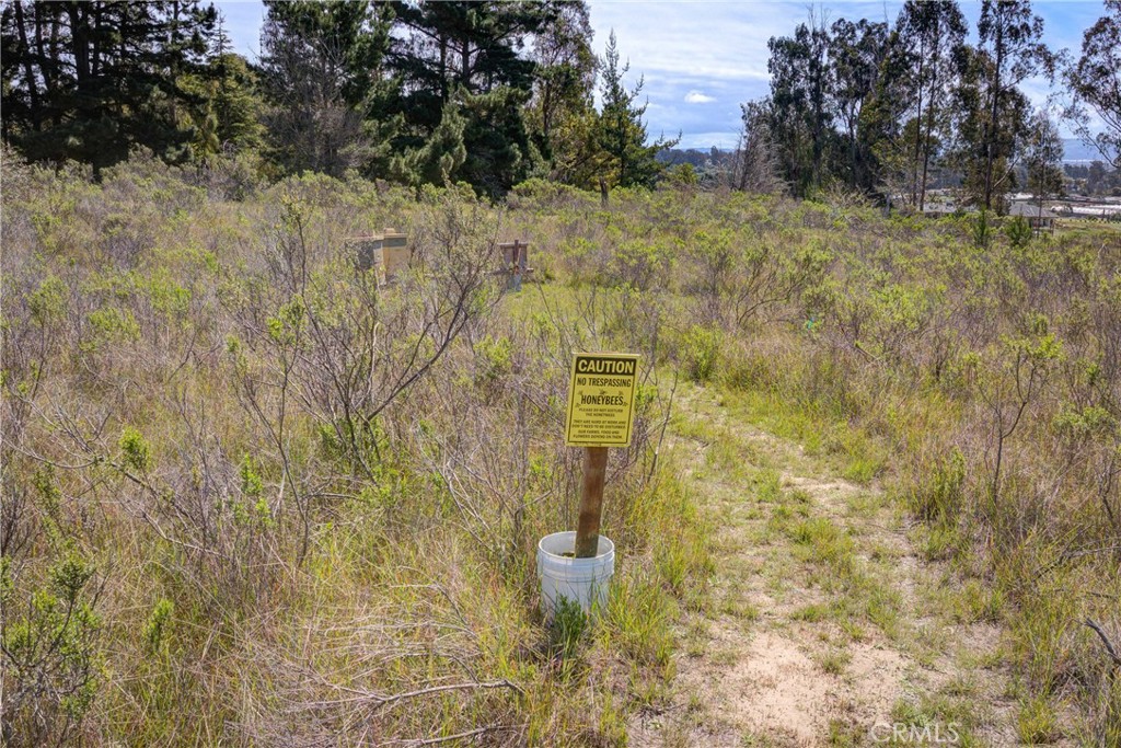 2531 Montclair Place