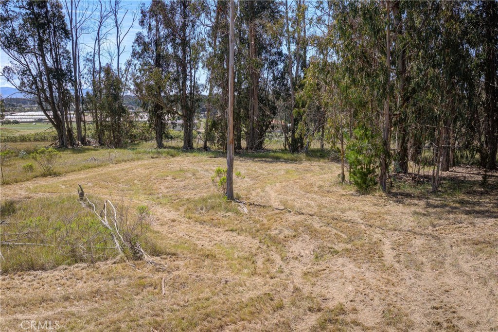 2531 Montclair Place