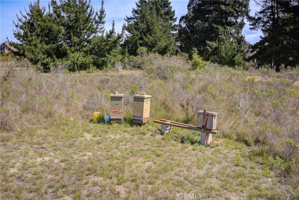 2531 Montclair Place