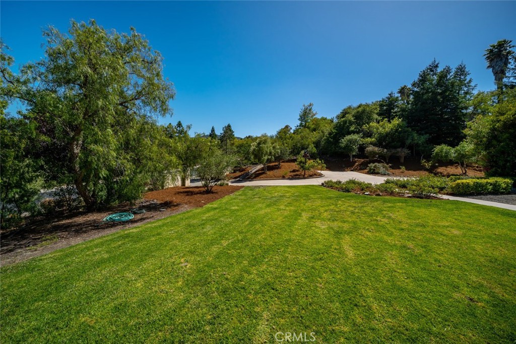 1190 Bassi Drive