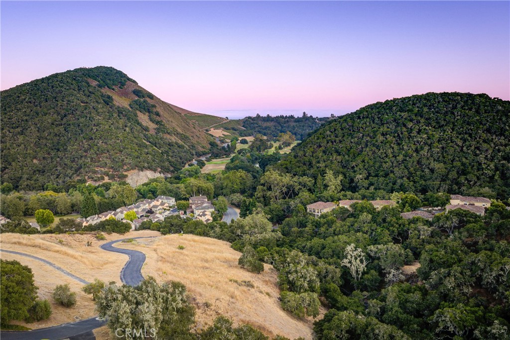 6362 Coffeeberry Court