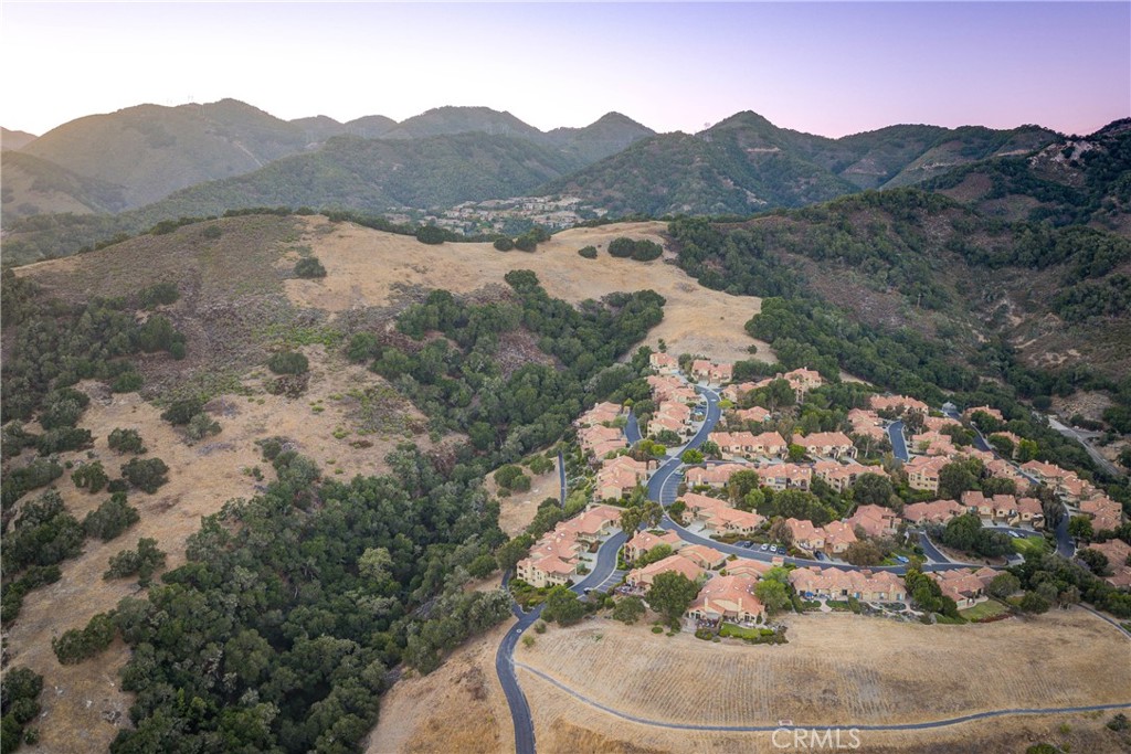 6362 Coffeeberry Court