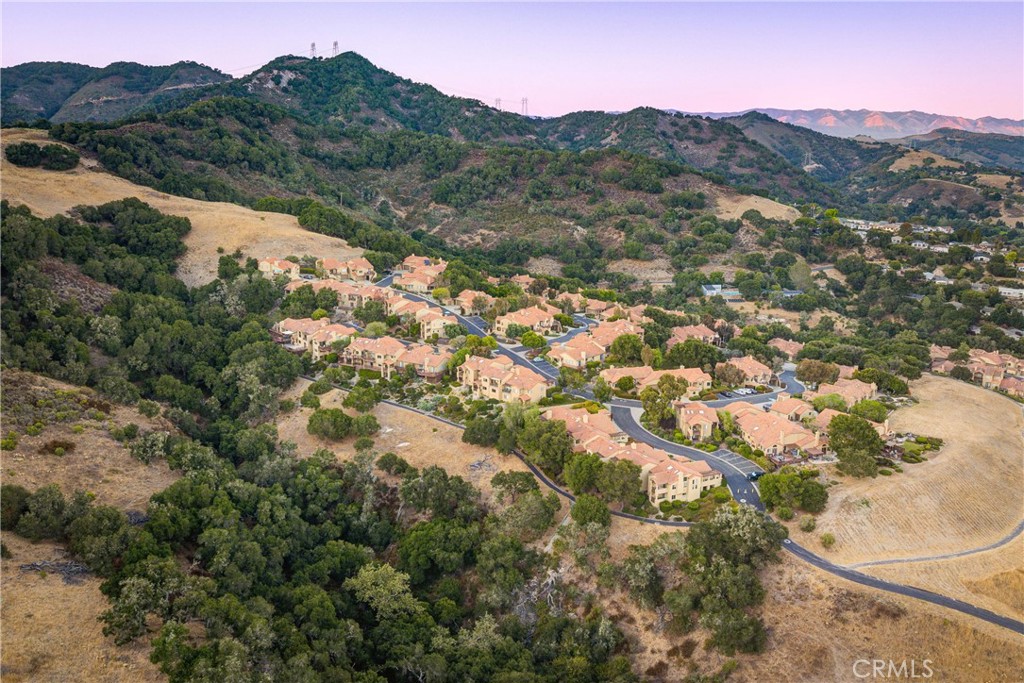 6362 Coffeeberry Court