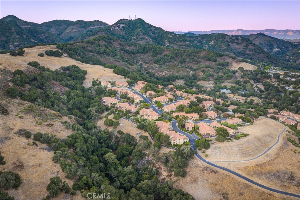 6362 Coffeeberry Court