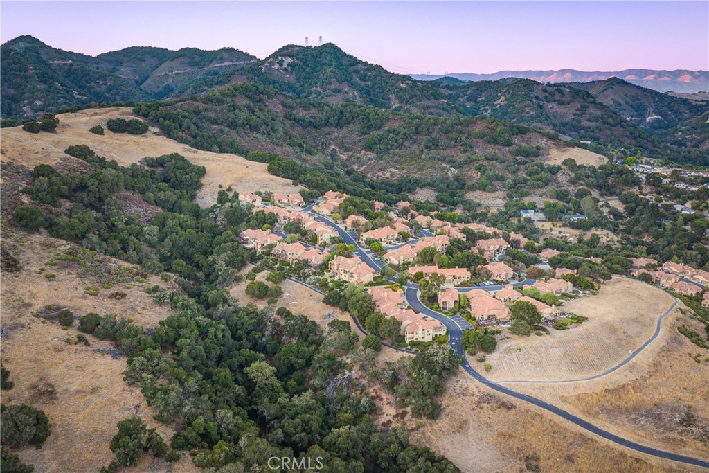 6362 Coffeeberry Court