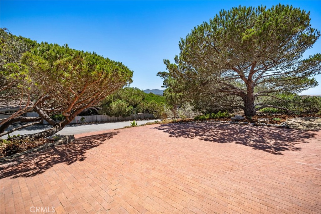 1179 Pasadena Drive