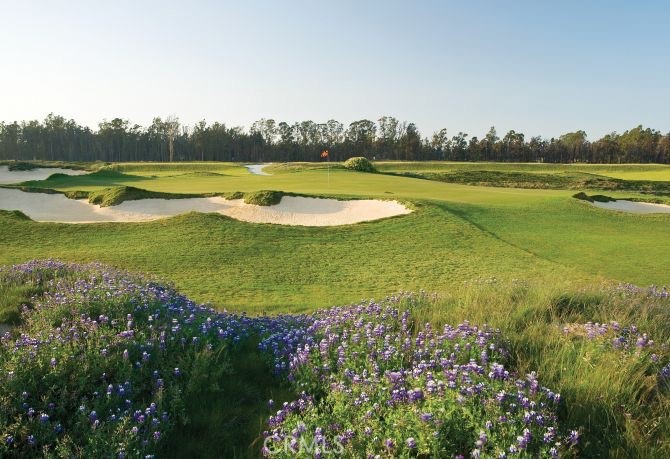 961 Jacqueline Place