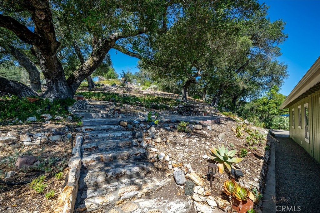 9954 Wildflower Road
