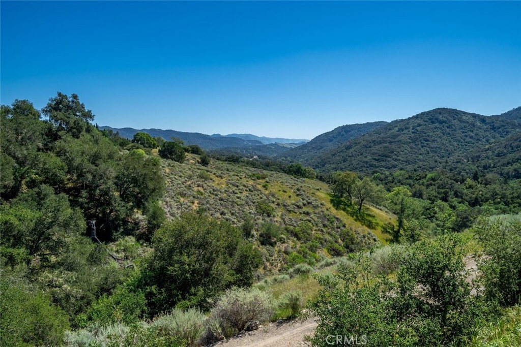 9954 Wildflower Road