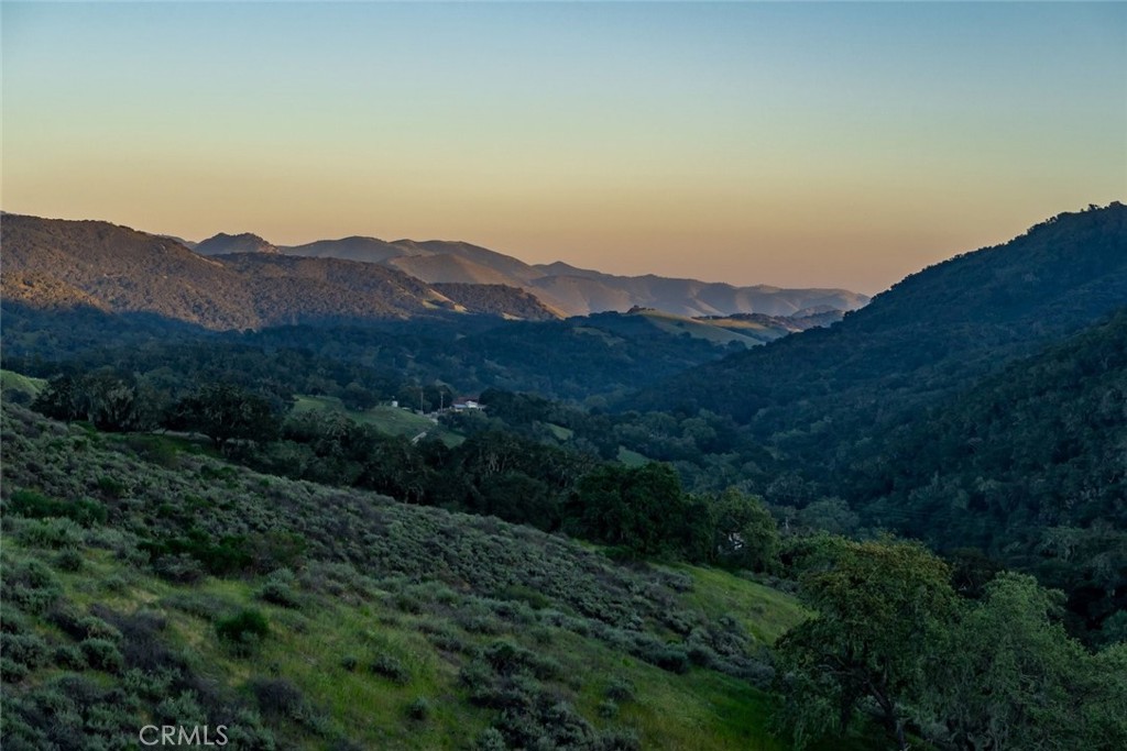 9954 Wildflower Road
