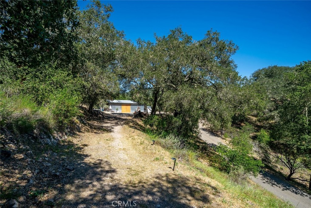 9954 Wildflower Road
