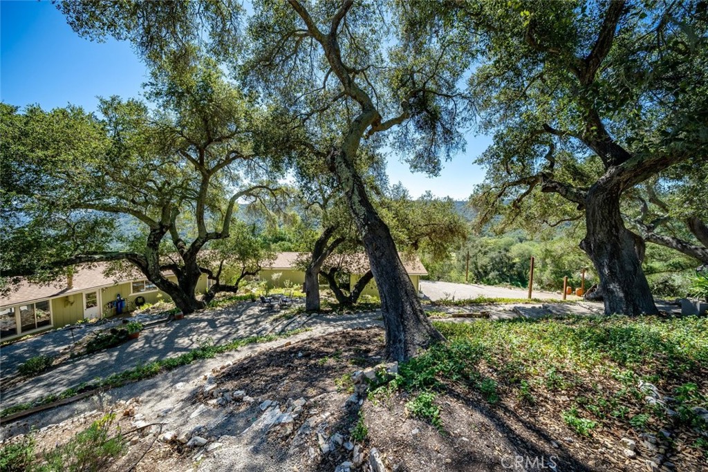 9954 Wildflower Road