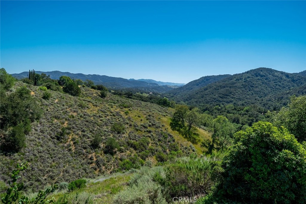 9954 Wildflower Road